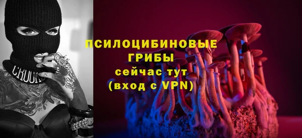 2c-b Каменногорск