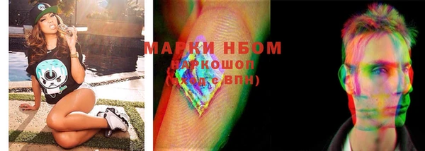 мдпв Инсар
