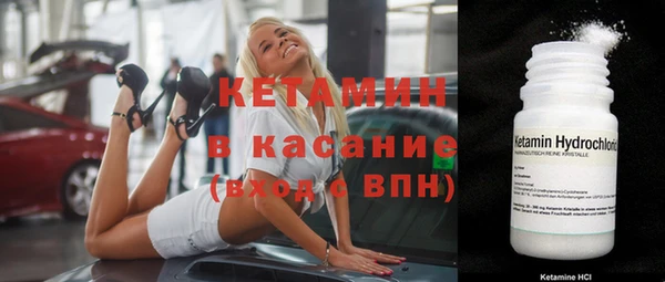 сатива Инта