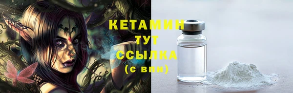 сатива Инта