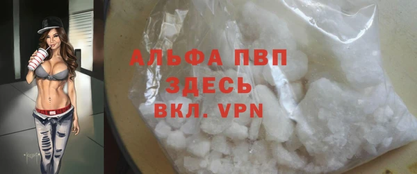 мдпв Инсар