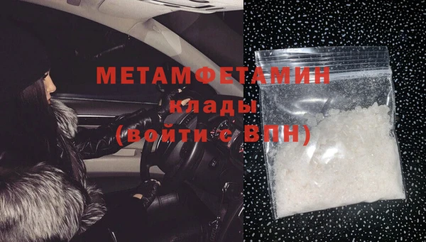 сатива Инта