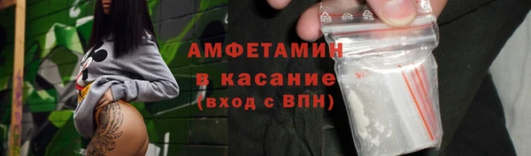 мдпв Инсар