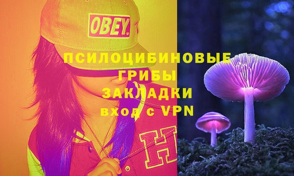 бошки Иннополис
