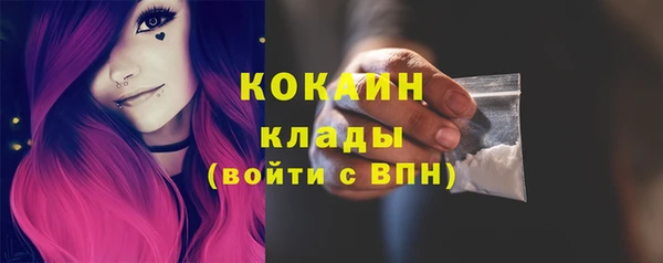 мдпв Инсар