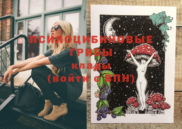 бошки Иннополис