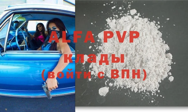 сатива Инта