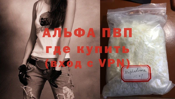 мдпв Инсар