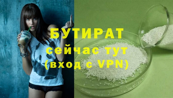 сатива Инта