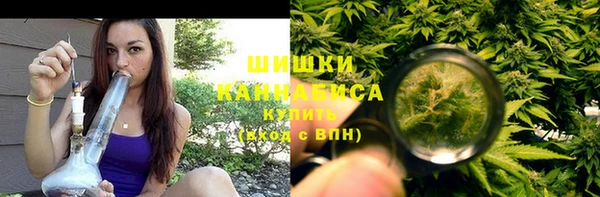 сатива Инта