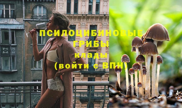 сатива Инта