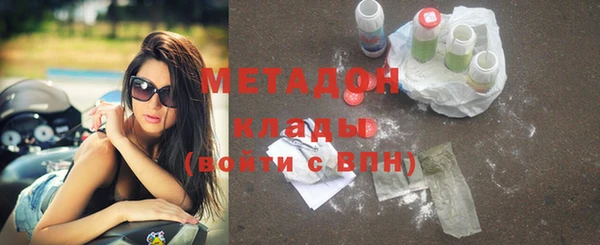 сатива Инта