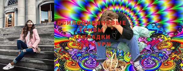 мдпв Инсар