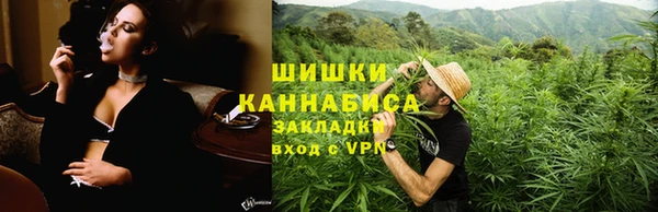 сатива Инта