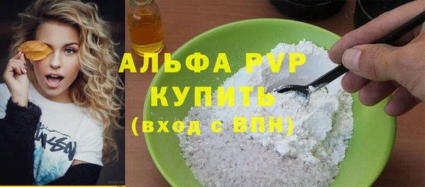 мдпв Инсар